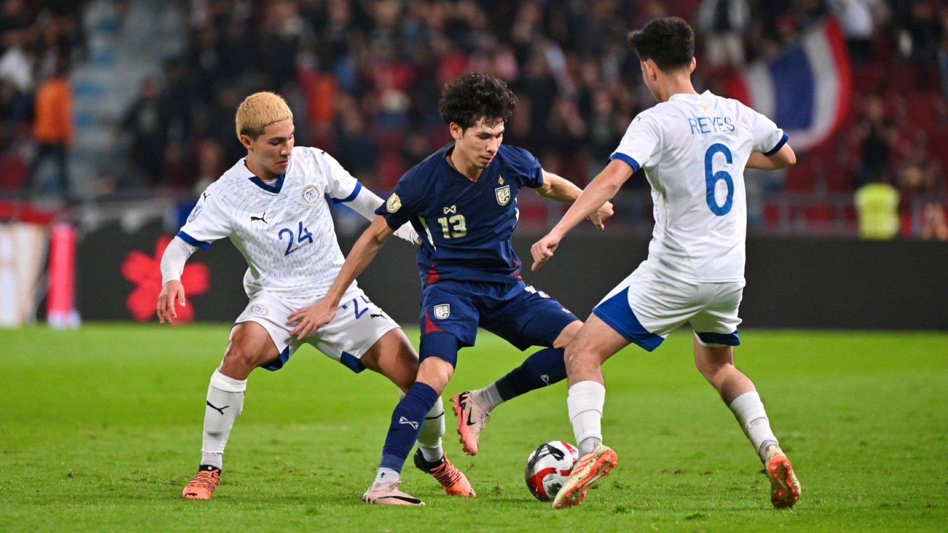 意味着杨绍 意味着杨绍